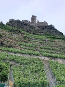 Jahrestour an die Mosel nach Kobern-Gondorf 2021