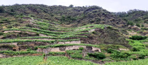 Jahrestour an die Mosel nach Kobern-Gondorf 2021