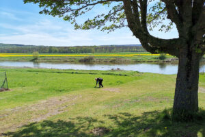 Tagestour an die Weser nach Brevörde 2021
