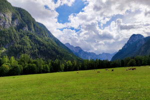 Große Jahrestour nach Slowenien 2022