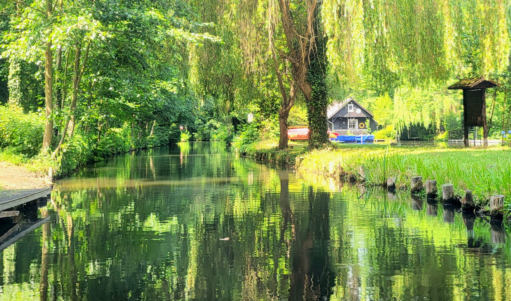 Spreewald 25. - 29.06.2026